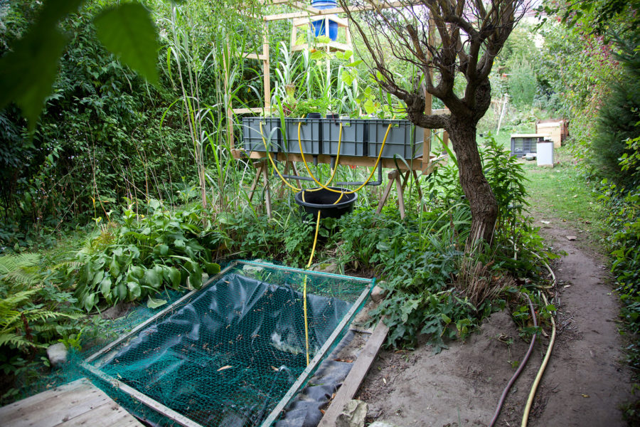 aquaponic unit