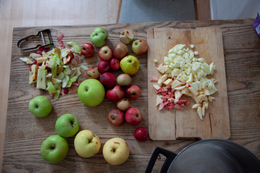 urban foraging