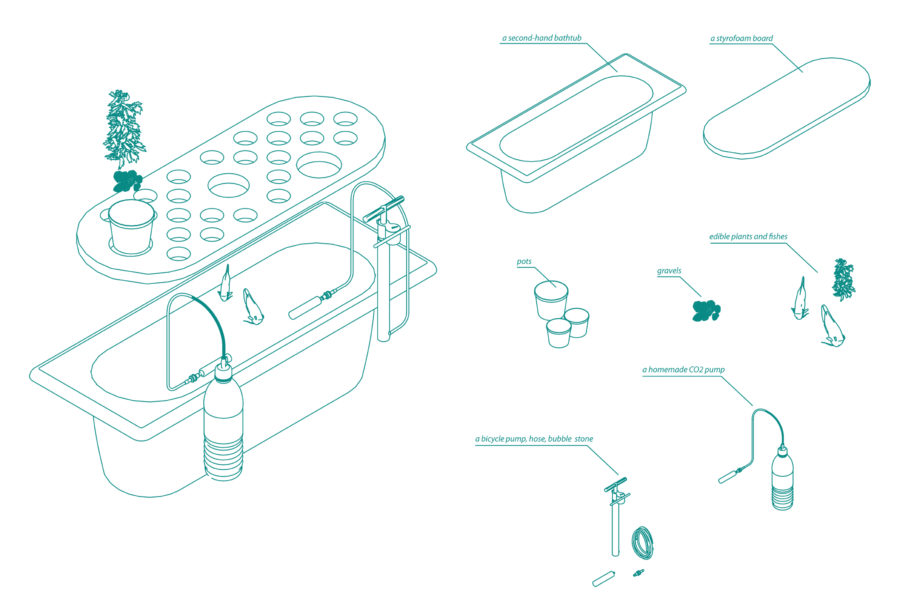 DIY aquaponic system